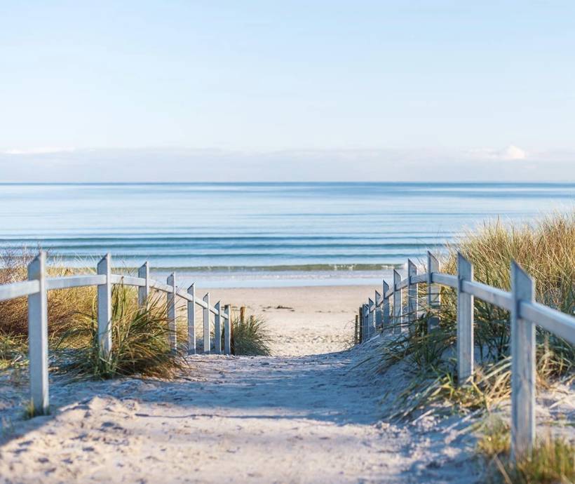 A long, sandy footpath surrounded by nature to the Baltic Sea beach on Rügen.