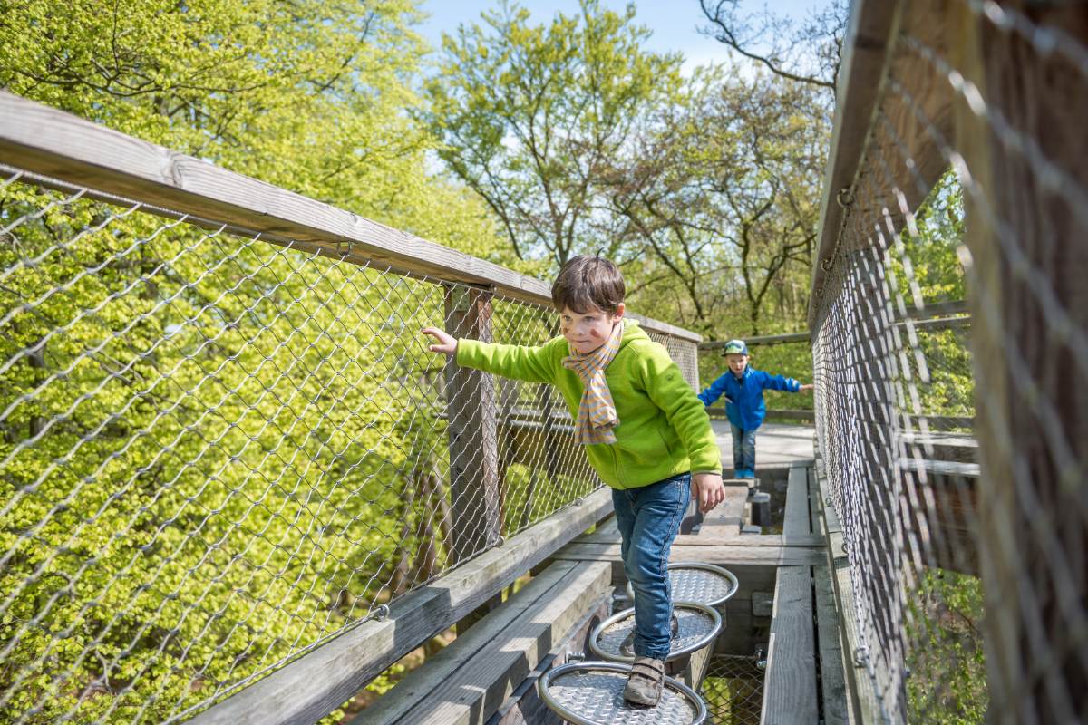 Family Adventures on Rügen – Discover What Makes Kids' Hearts Beat Faster